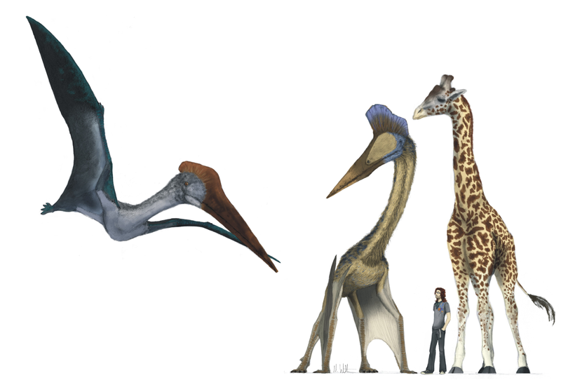Illustration for article titled What would the world be like if pterosaurs and humans coexisted today? (Part II)